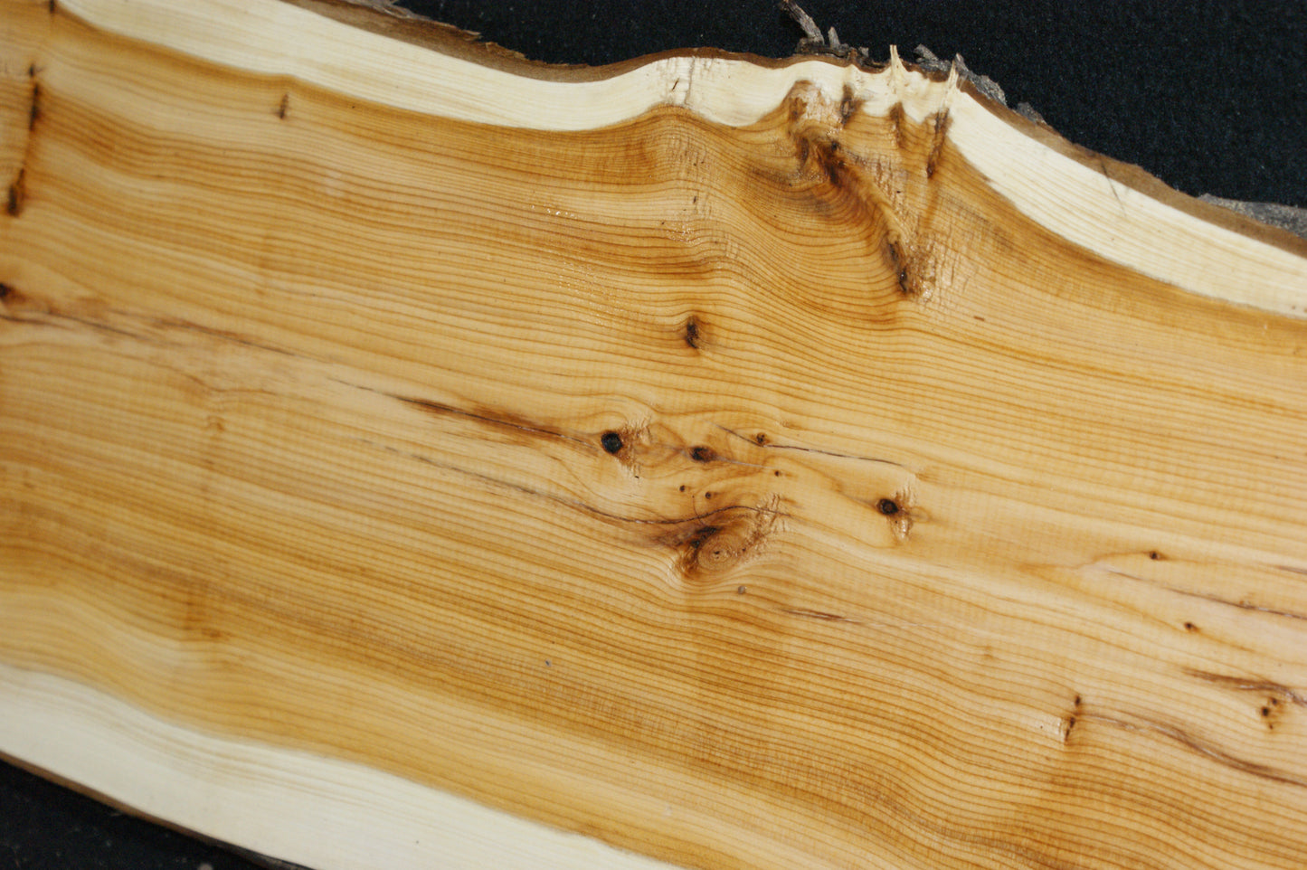English Yew Shelf. (618)