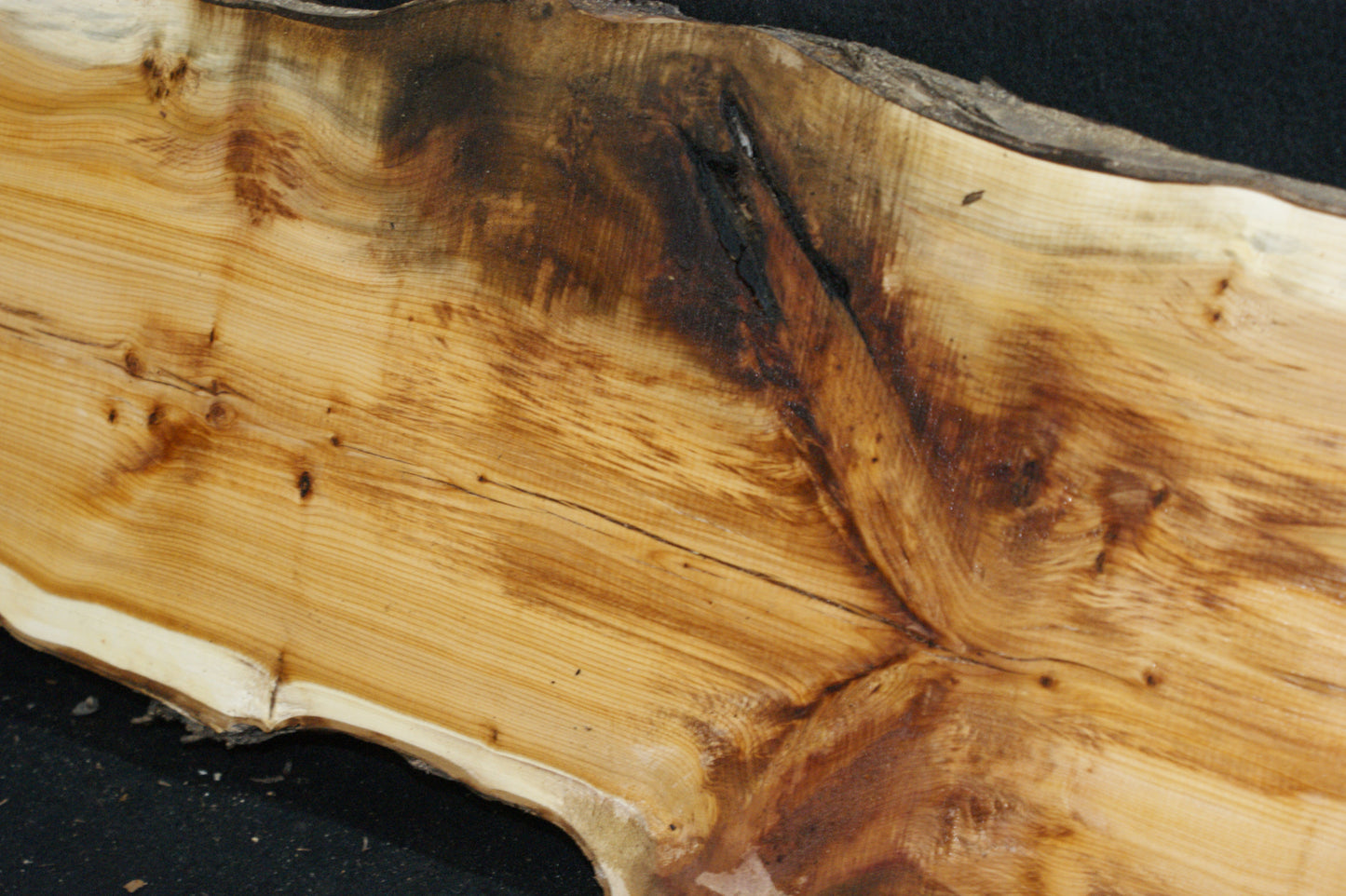 English Yew Shelf. (618)