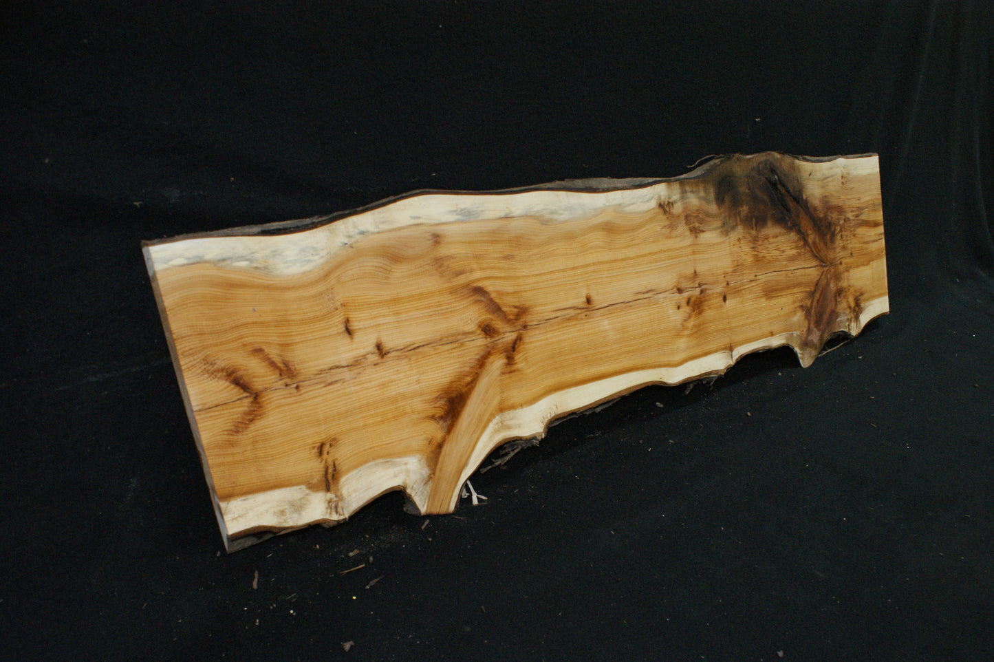 English Yew Shelf. (618)