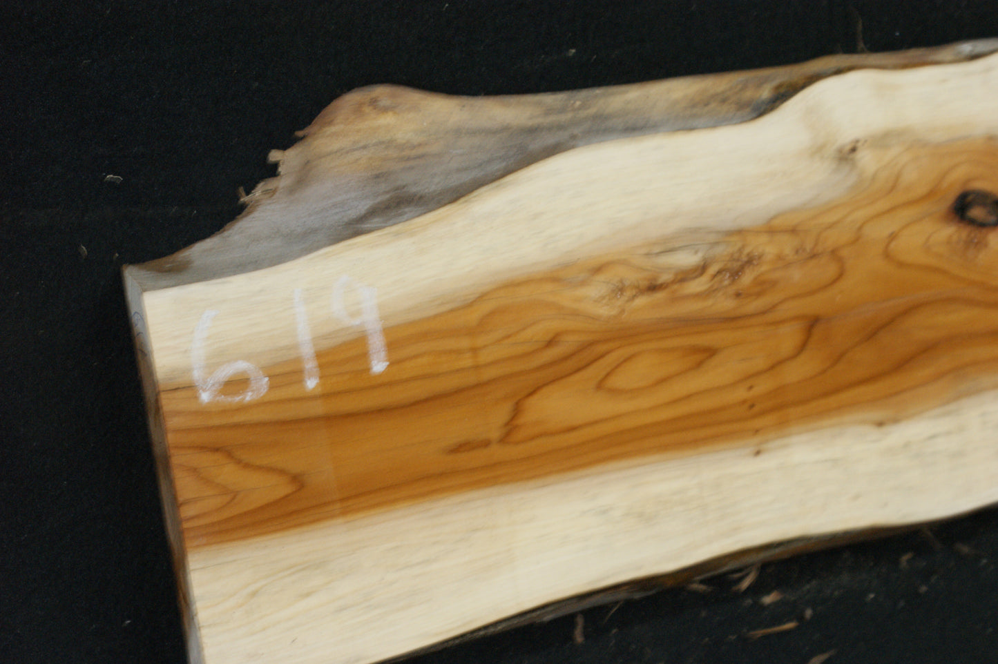 English Yew Shelf. (619)