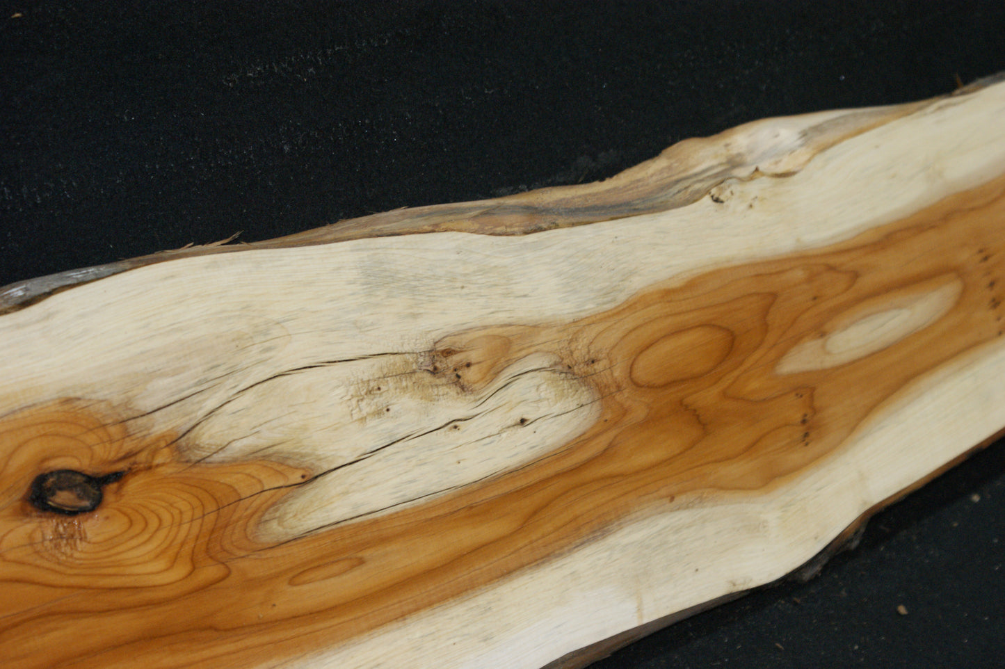 English Yew Shelf. (619)