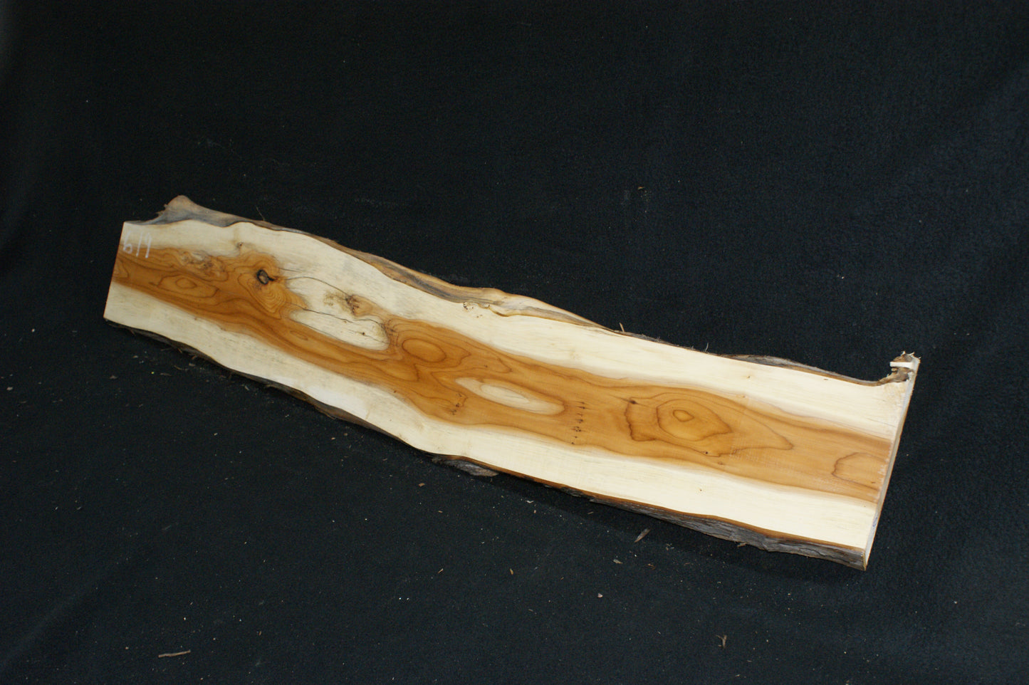 English Yew Shelf. (619)