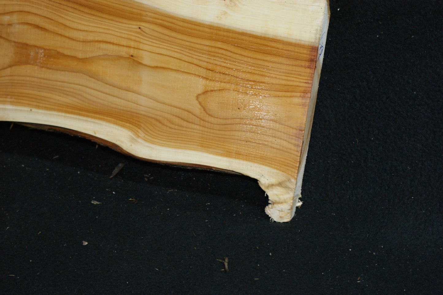 English Yew Shelf. (619)