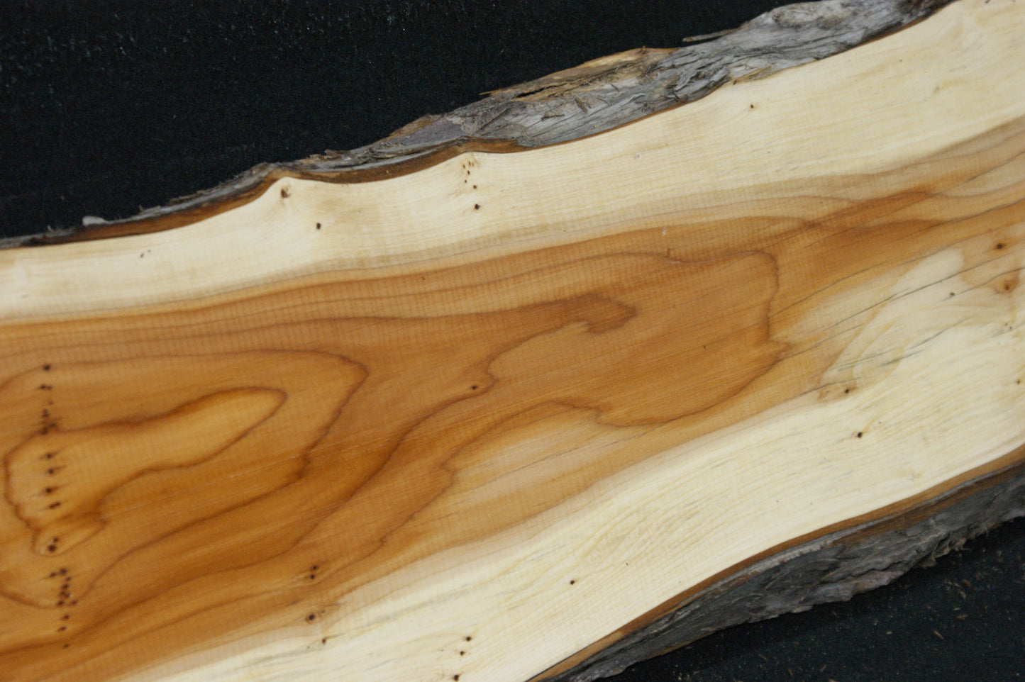 English Yew Shelf. (620)