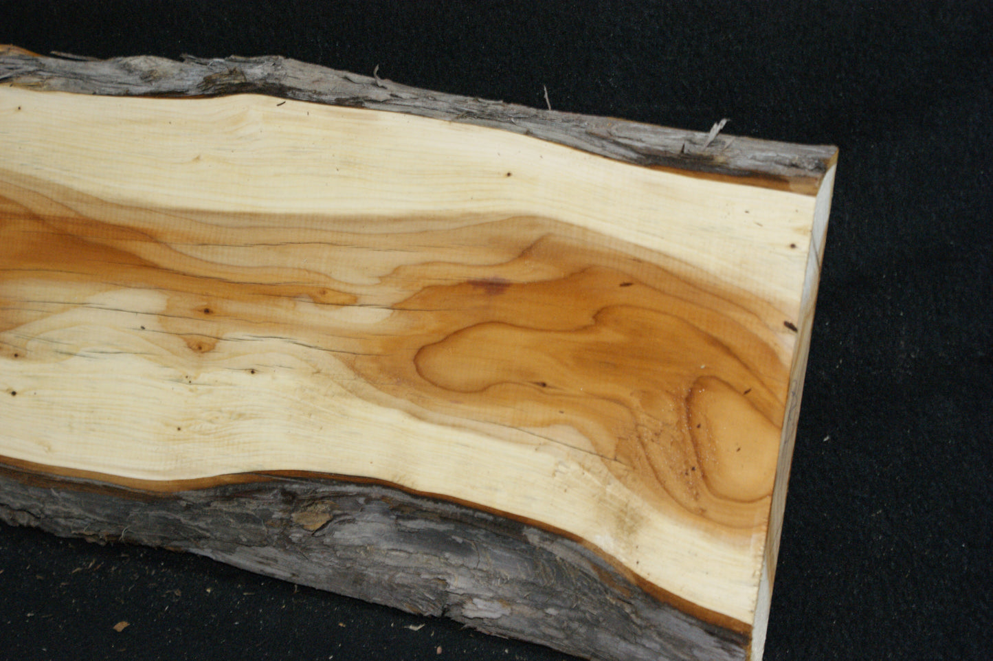 English Yew Shelf. (620)