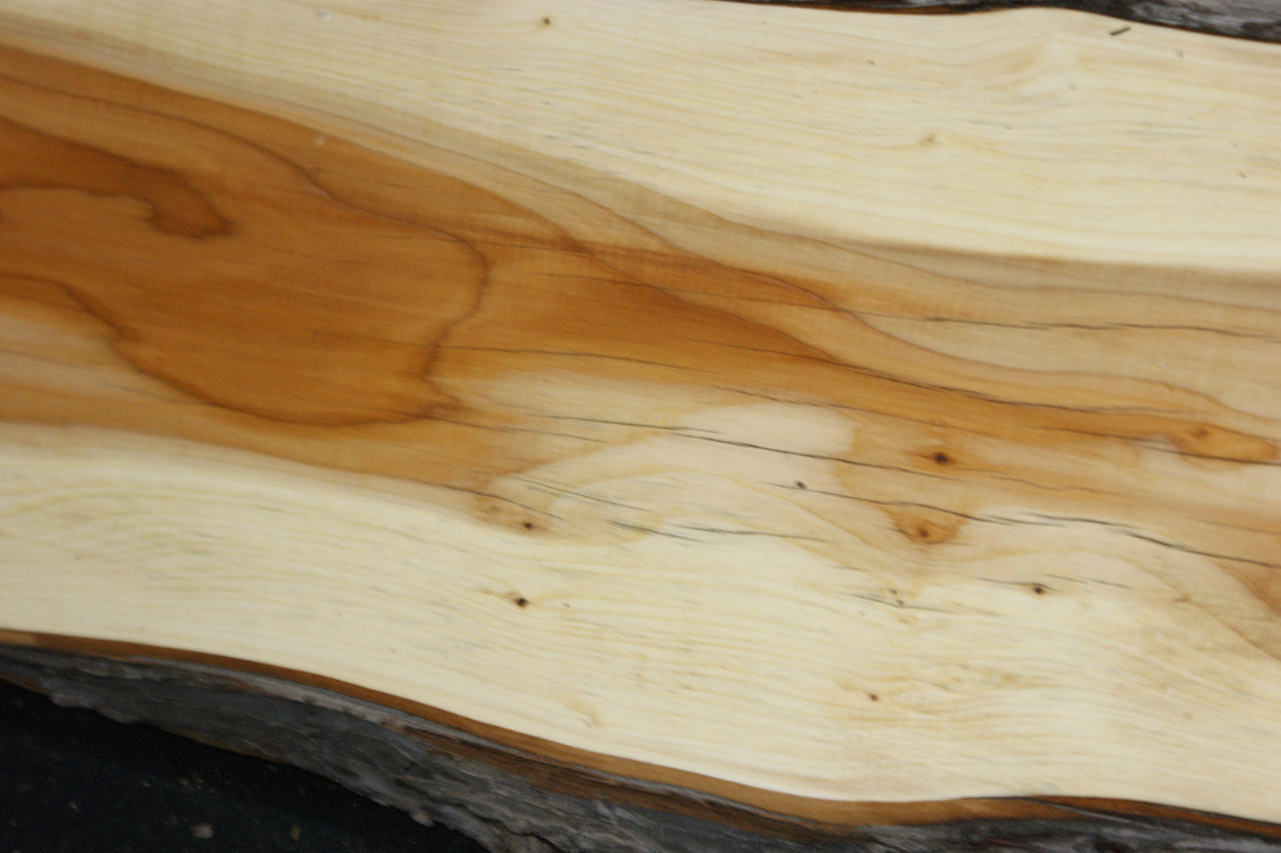 English Yew Shelf. (620)