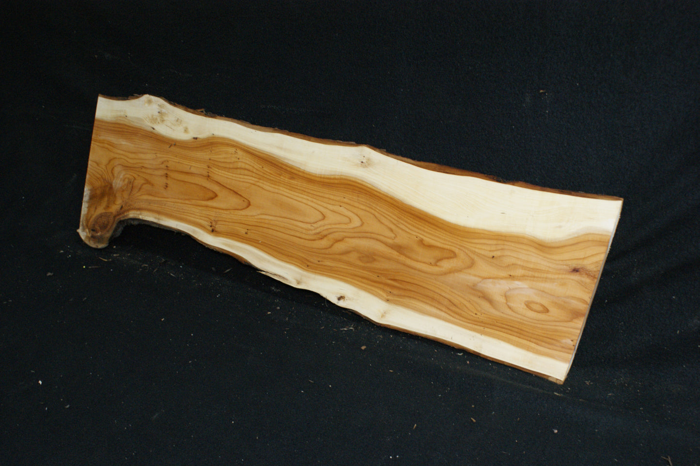 English Yew Shelf. (620)
