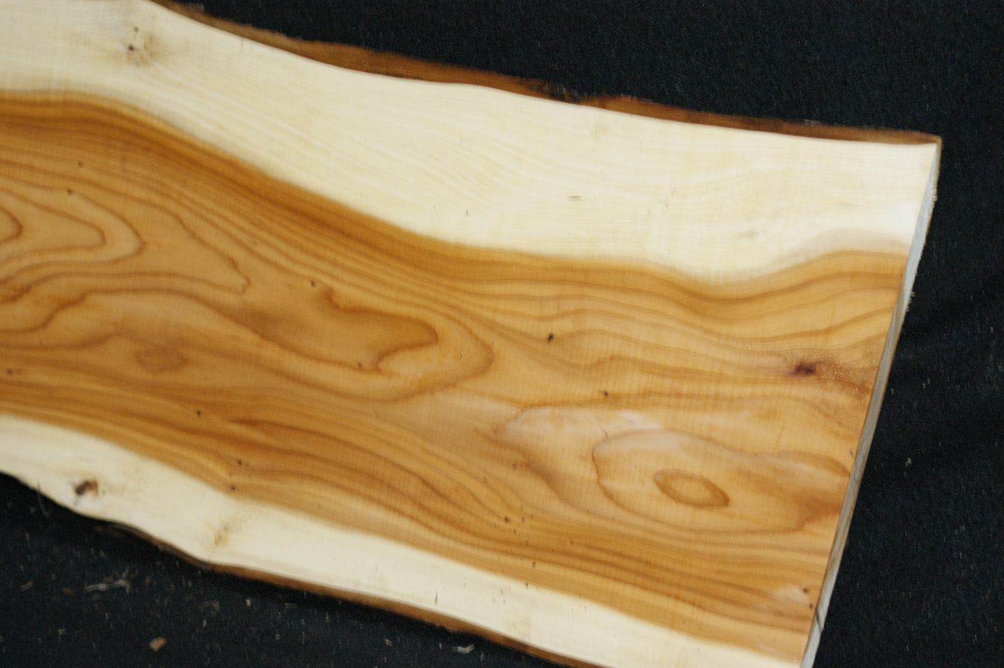 English Yew Shelf. (620)
