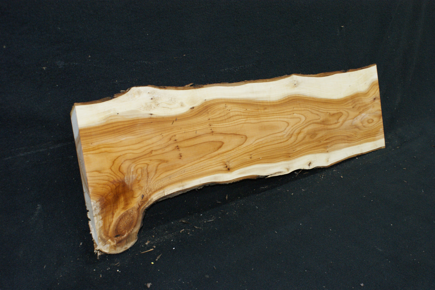 English Yew Shelf. (620)
