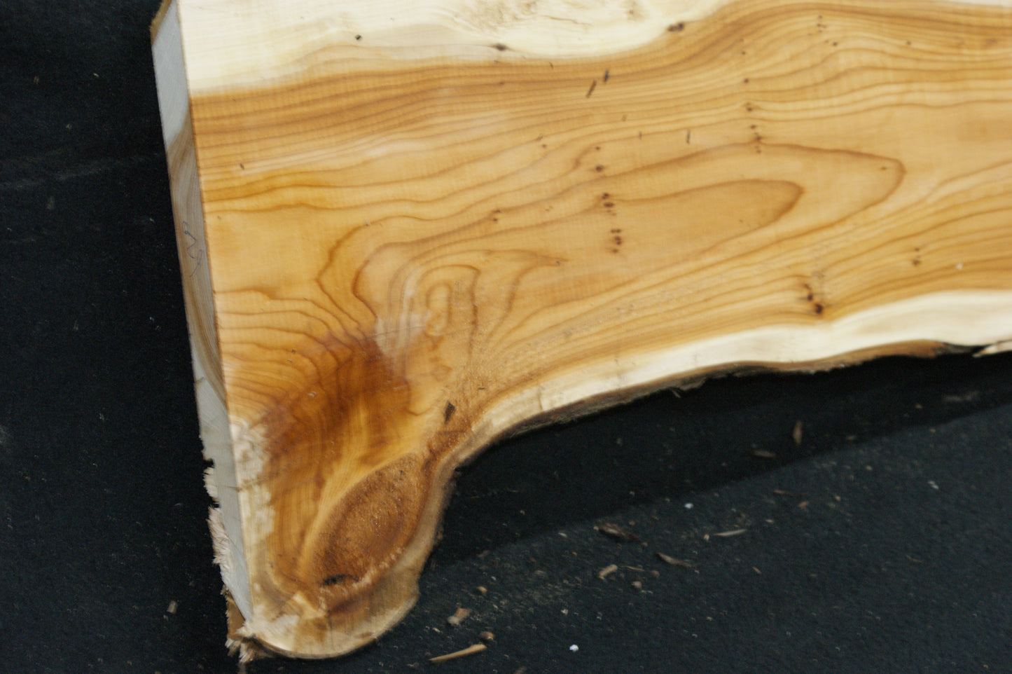 English Yew Shelf. (620)