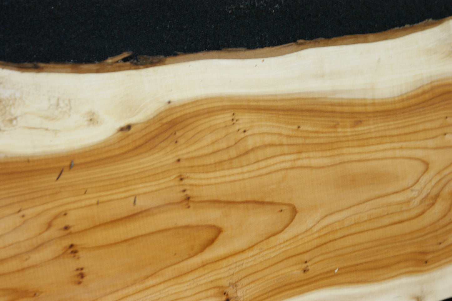 English Yew Shelf. (620)