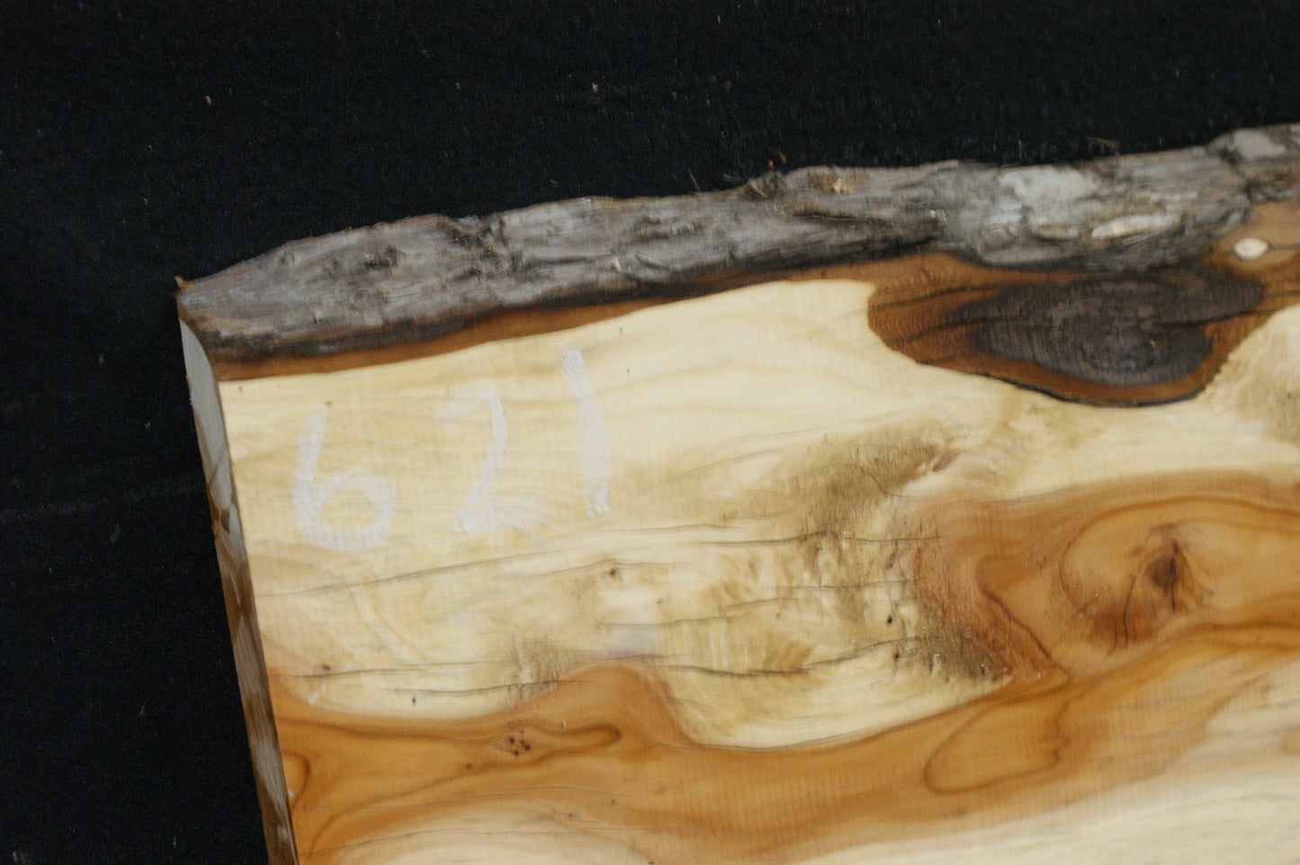English Yew Shelf. (621)