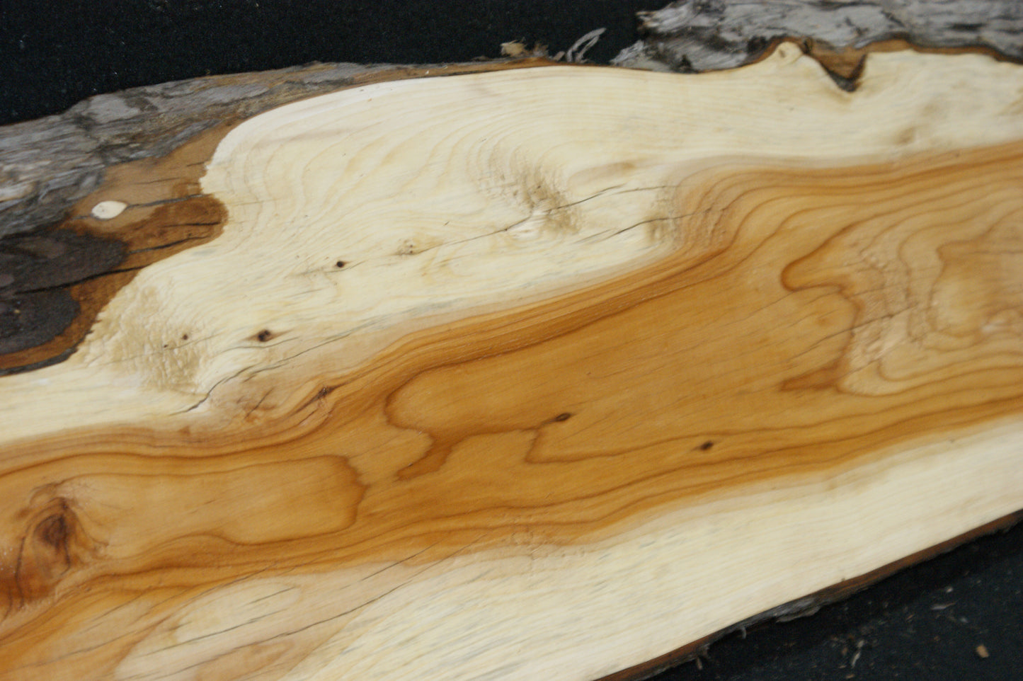 English Yew Shelf. (621)