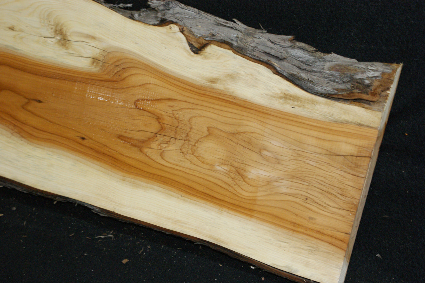 English Yew Shelf. (621)