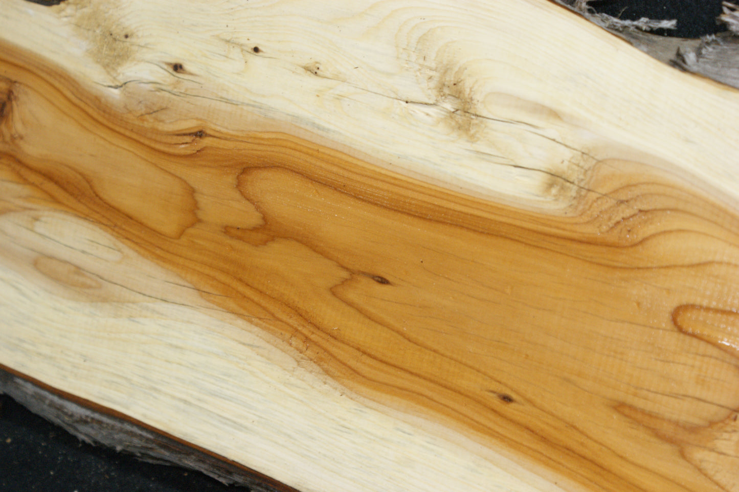 English Yew Shelf. (621)