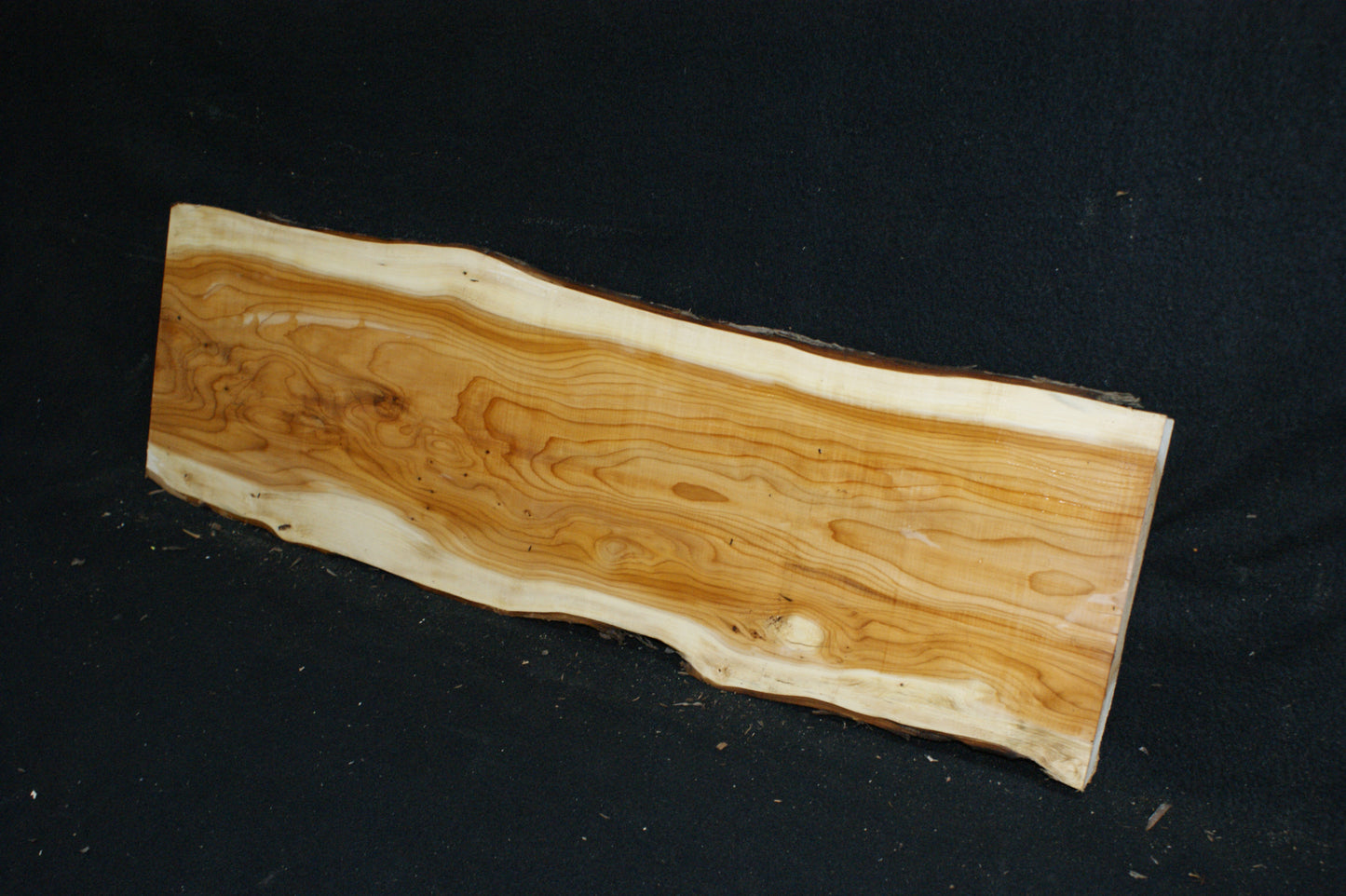 English Yew Shelf. (621)