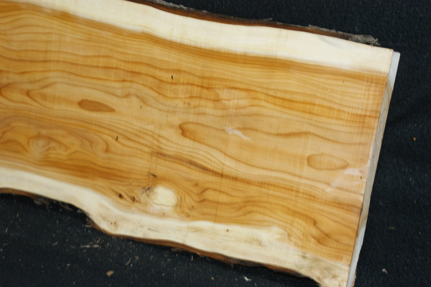 English Yew Shelf. (621)
