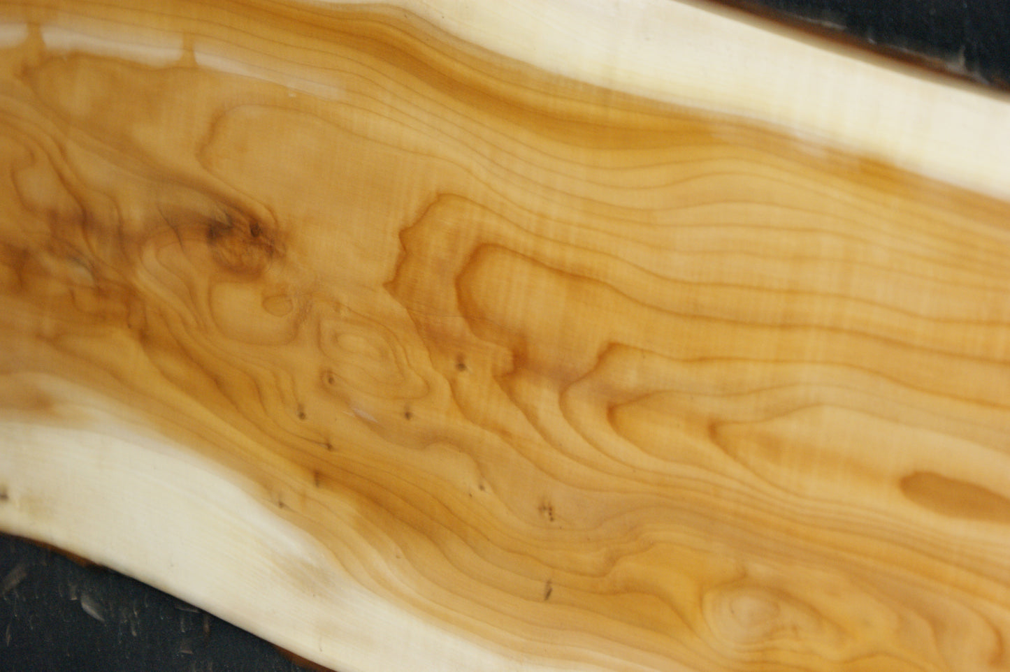 English Yew Shelf. (621)