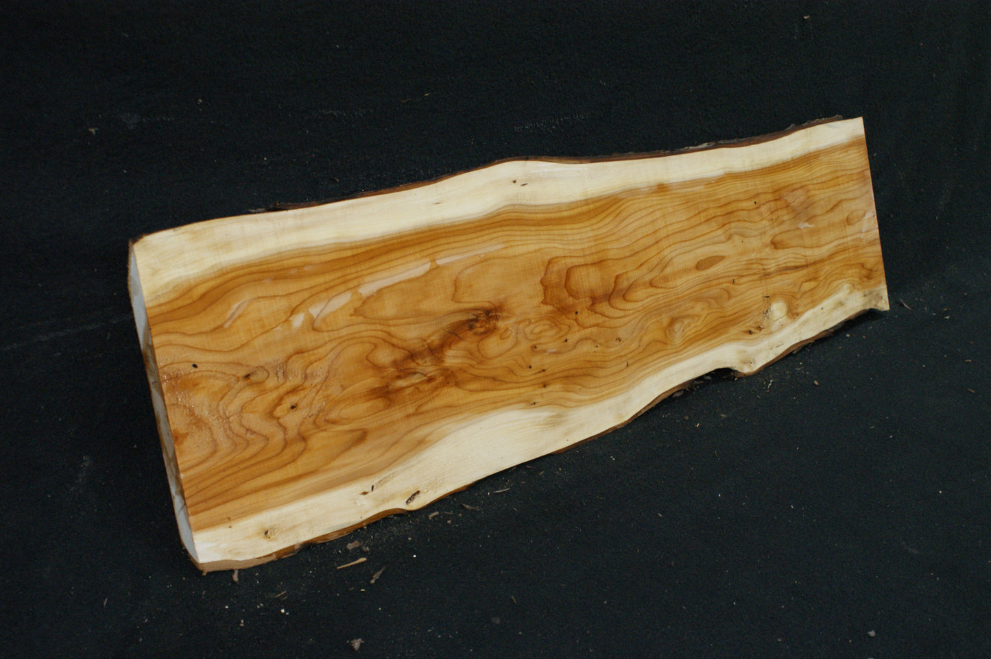 English Yew Shelf. (621)