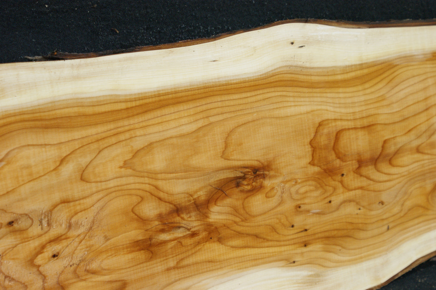 English Yew Shelf. (621)
