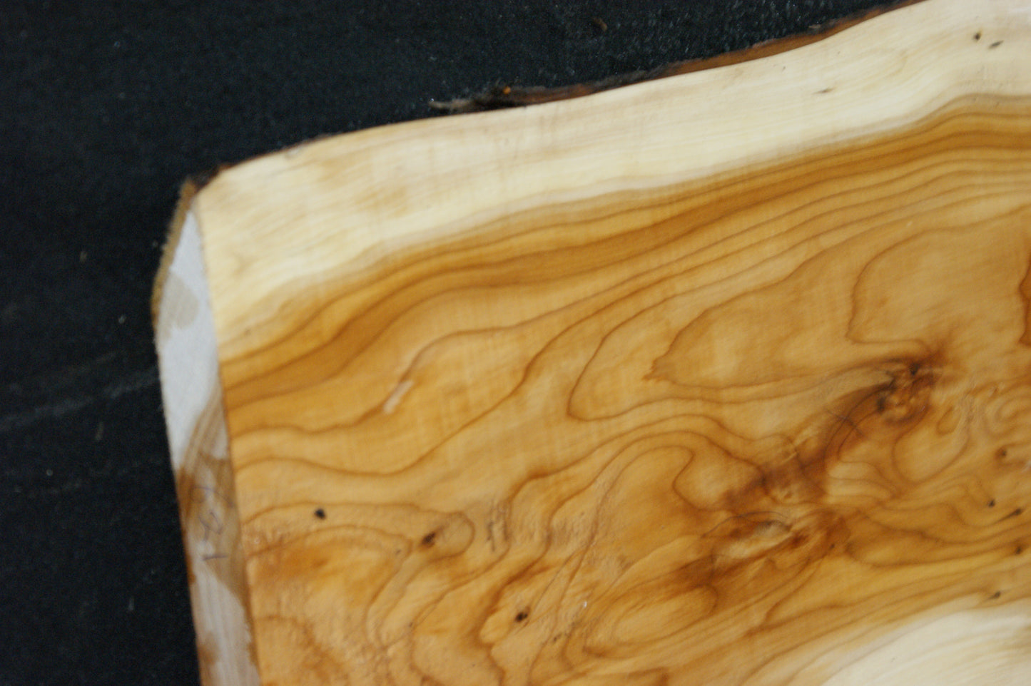 English Yew Shelf. (621)