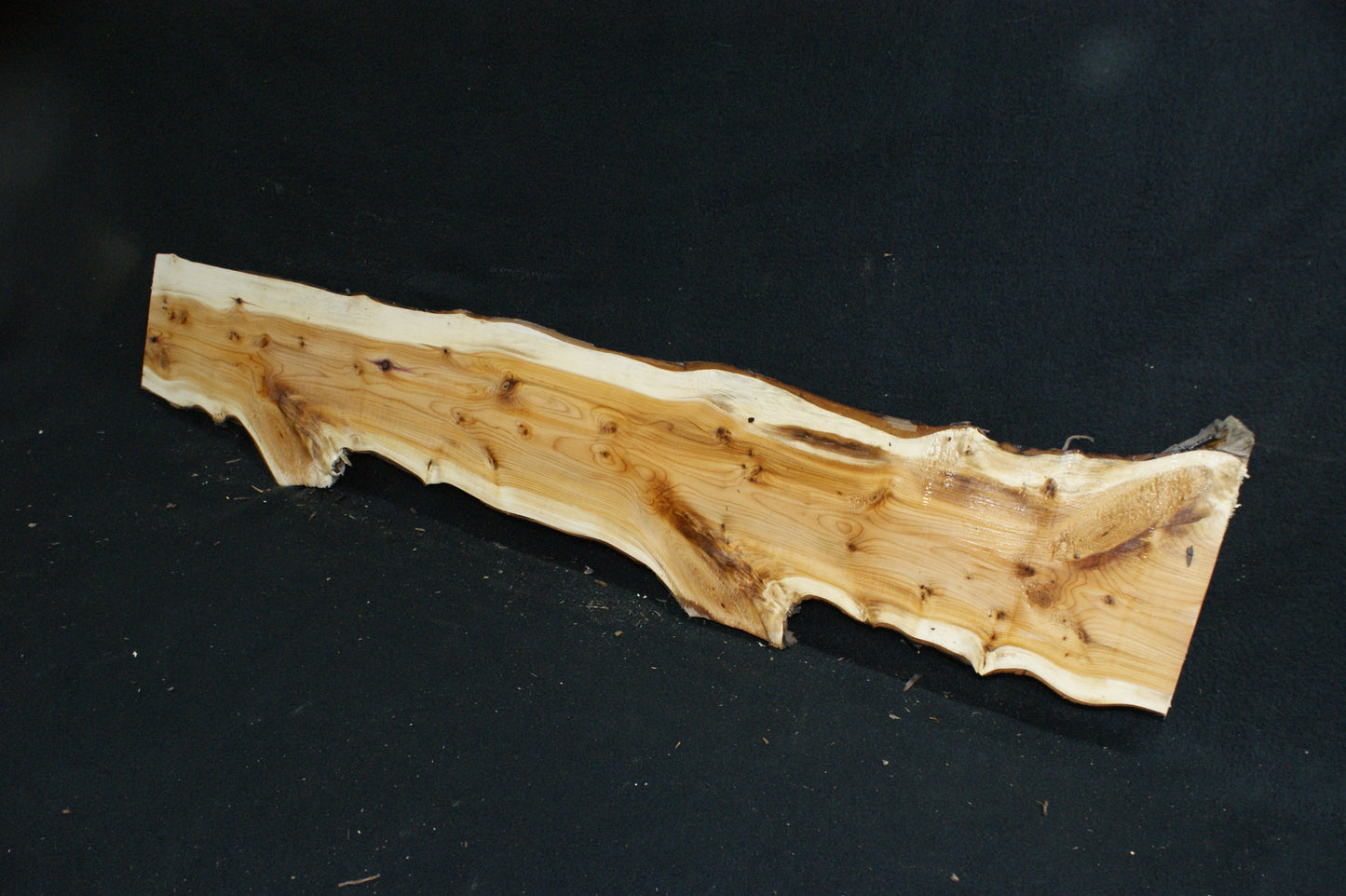 English Yew Shelf. (622)