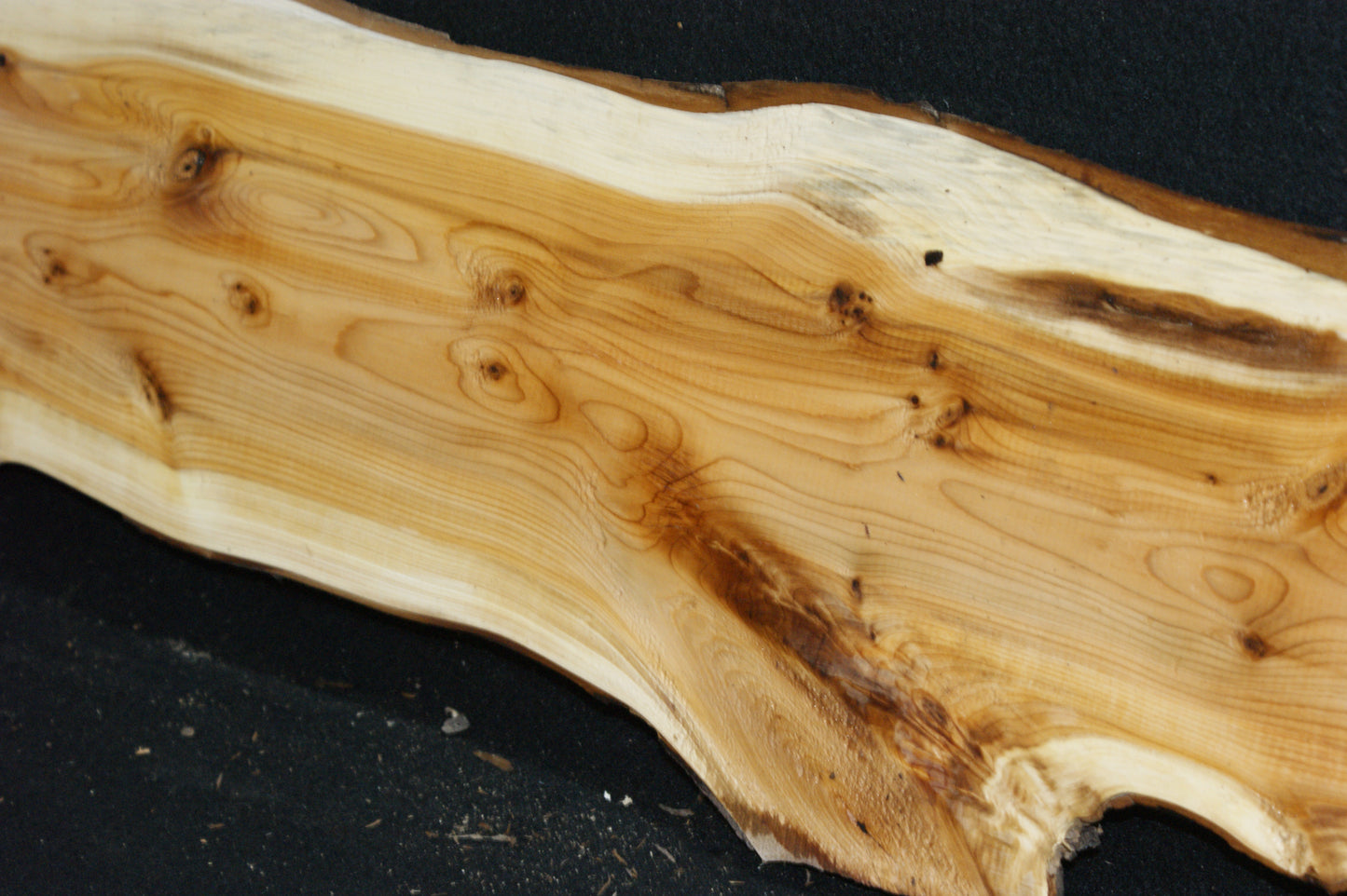 English Yew Shelf. (622)