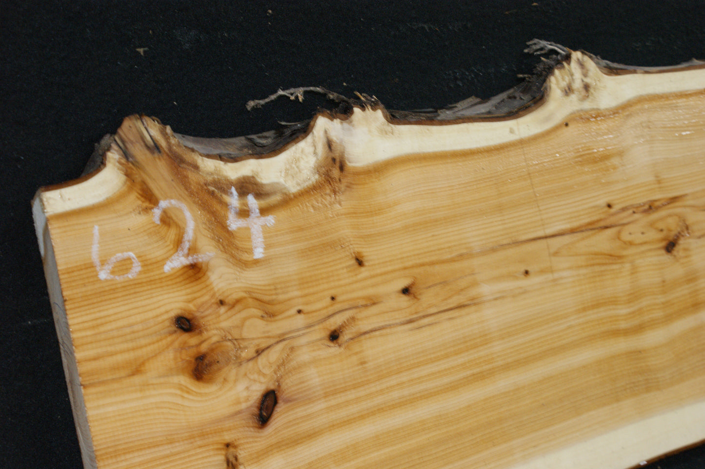 English Yew Shelf. (624)