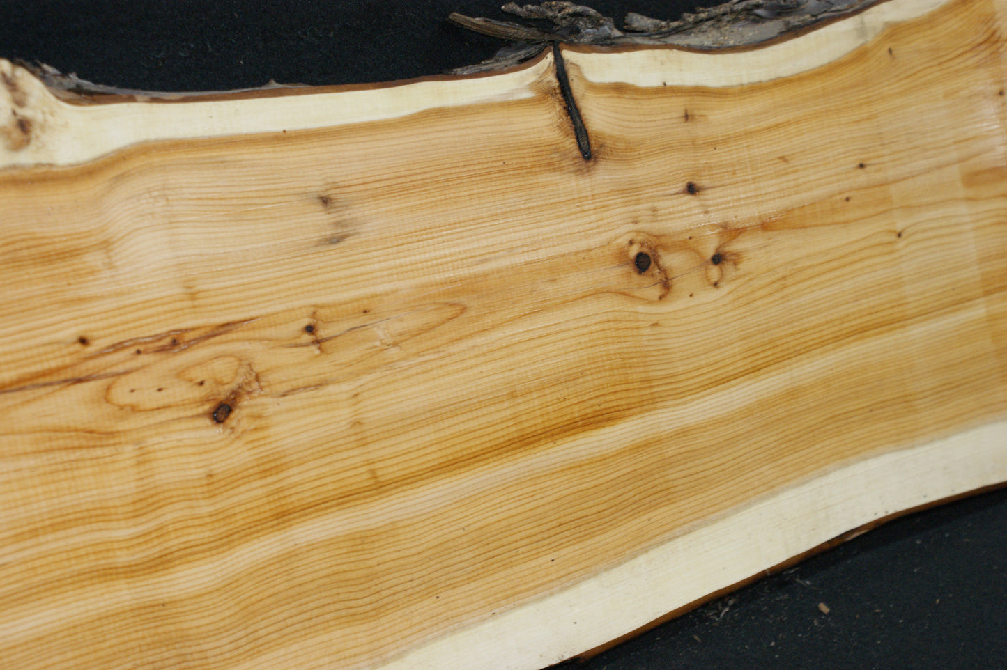 English Yew Shelf. (624)