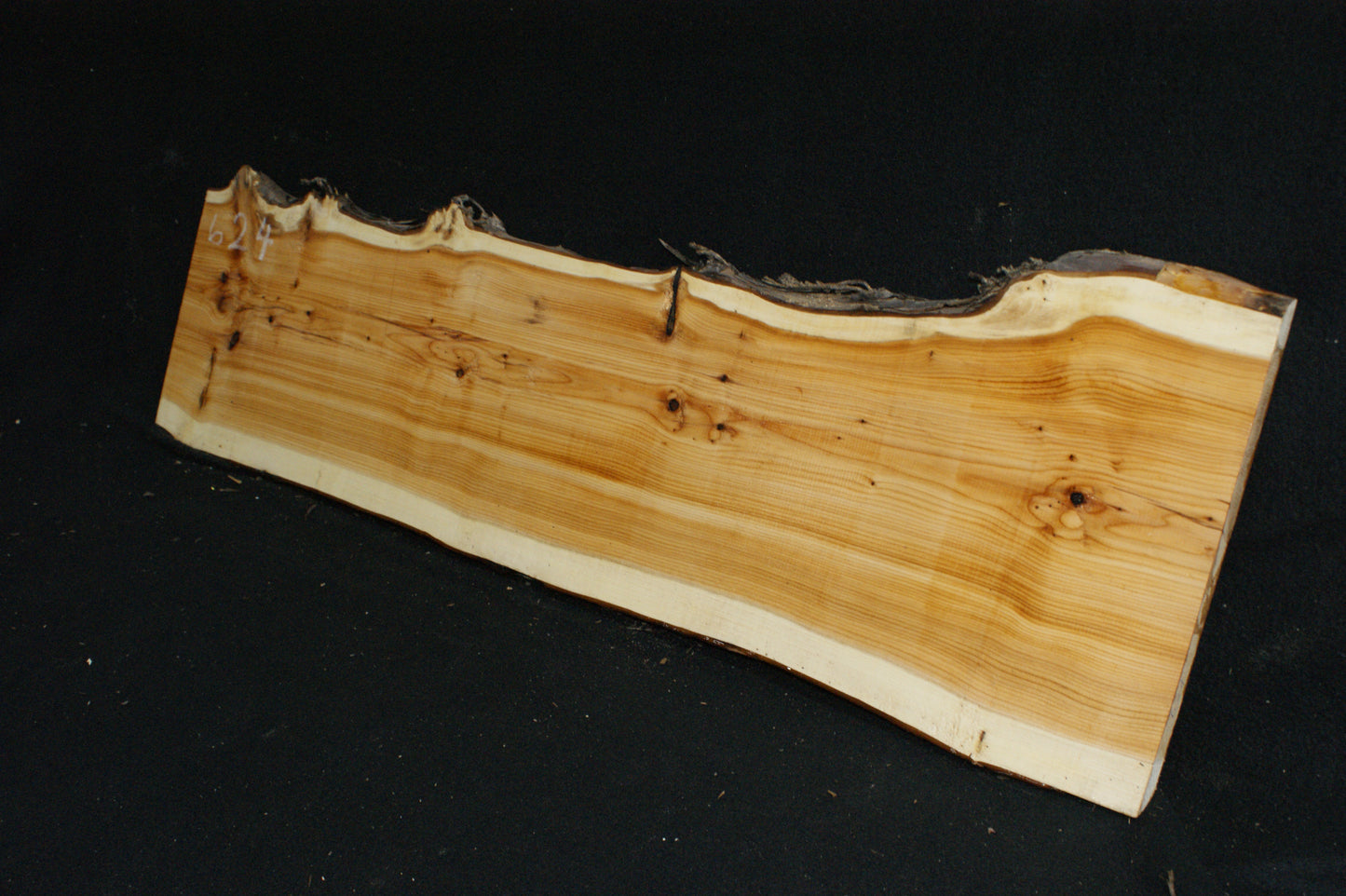 English Yew Shelf. (624)