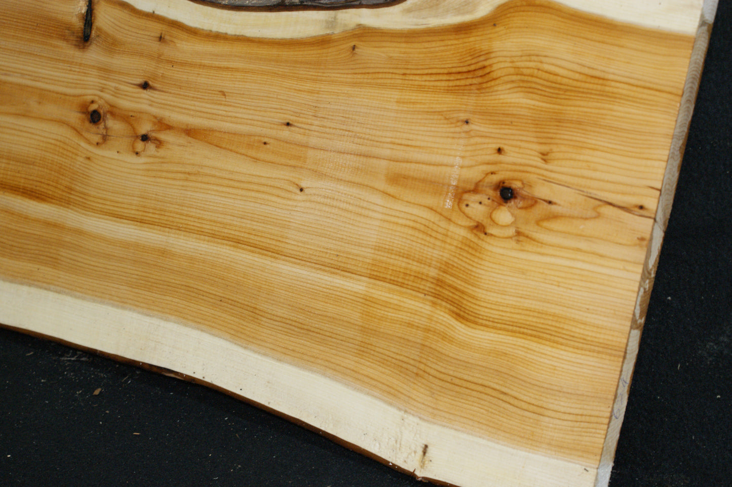 English Yew Shelf. (624)