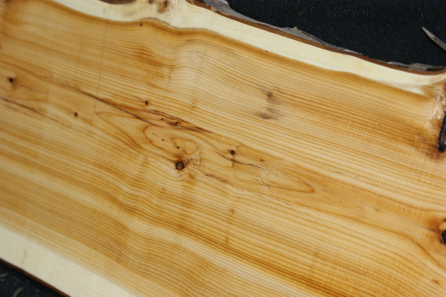 English Yew Shelf. (624)