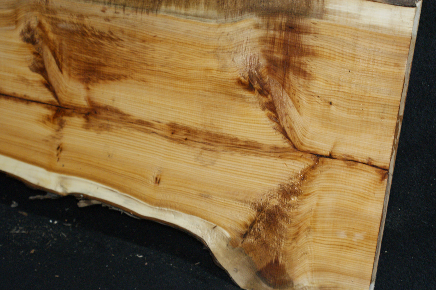 English Yew Shelf. (624)
