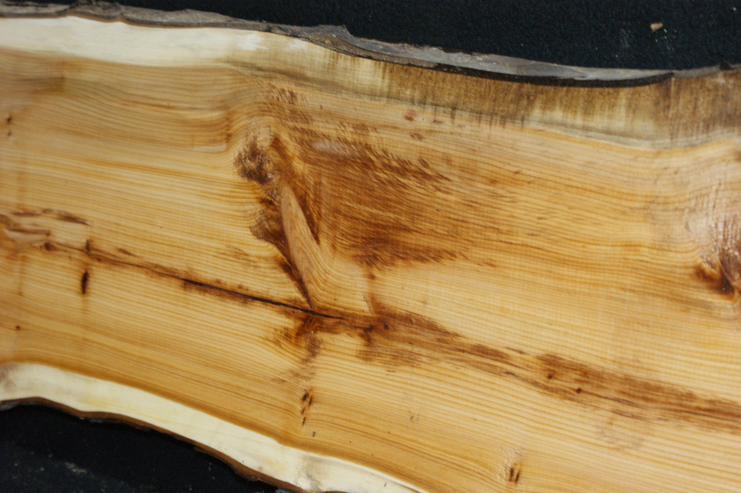 English Yew Shelf. (624)