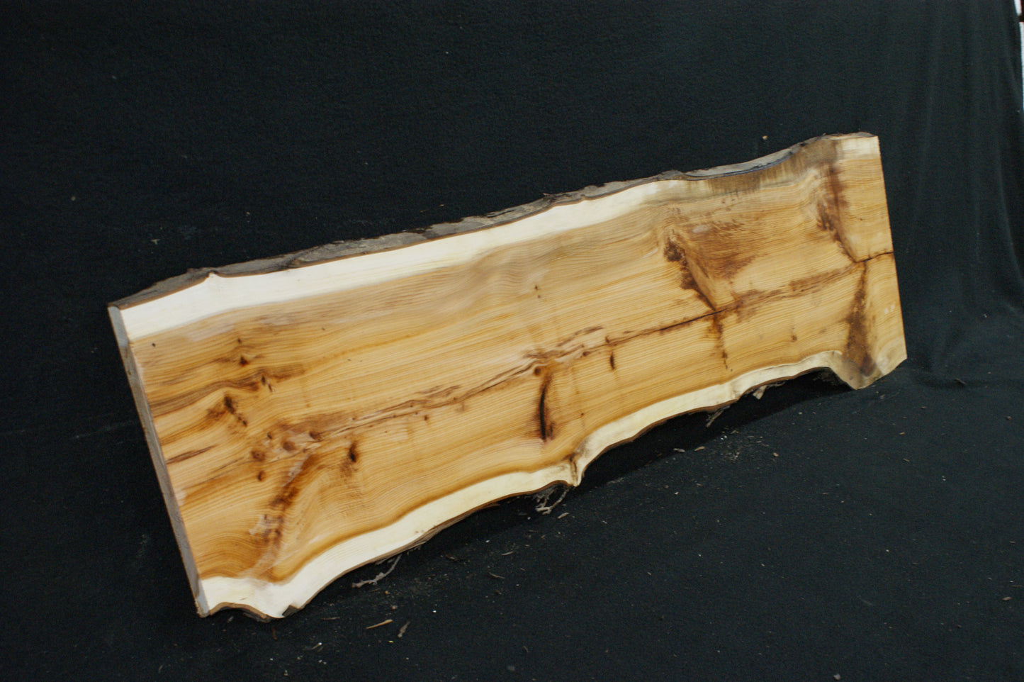 English Yew Shelf. (624)