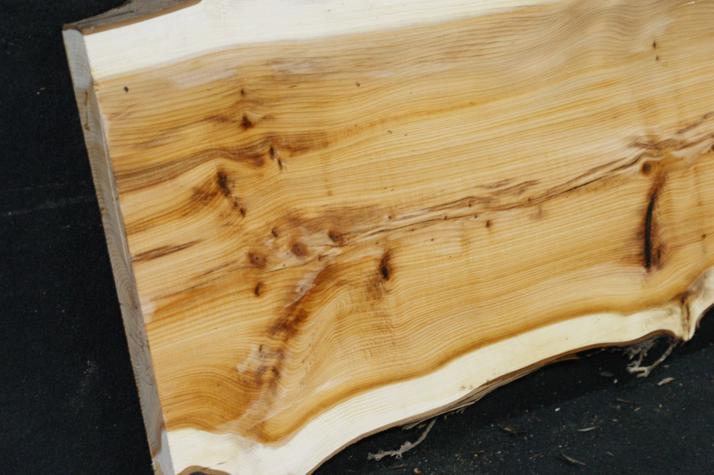 English Yew Shelf. (624)