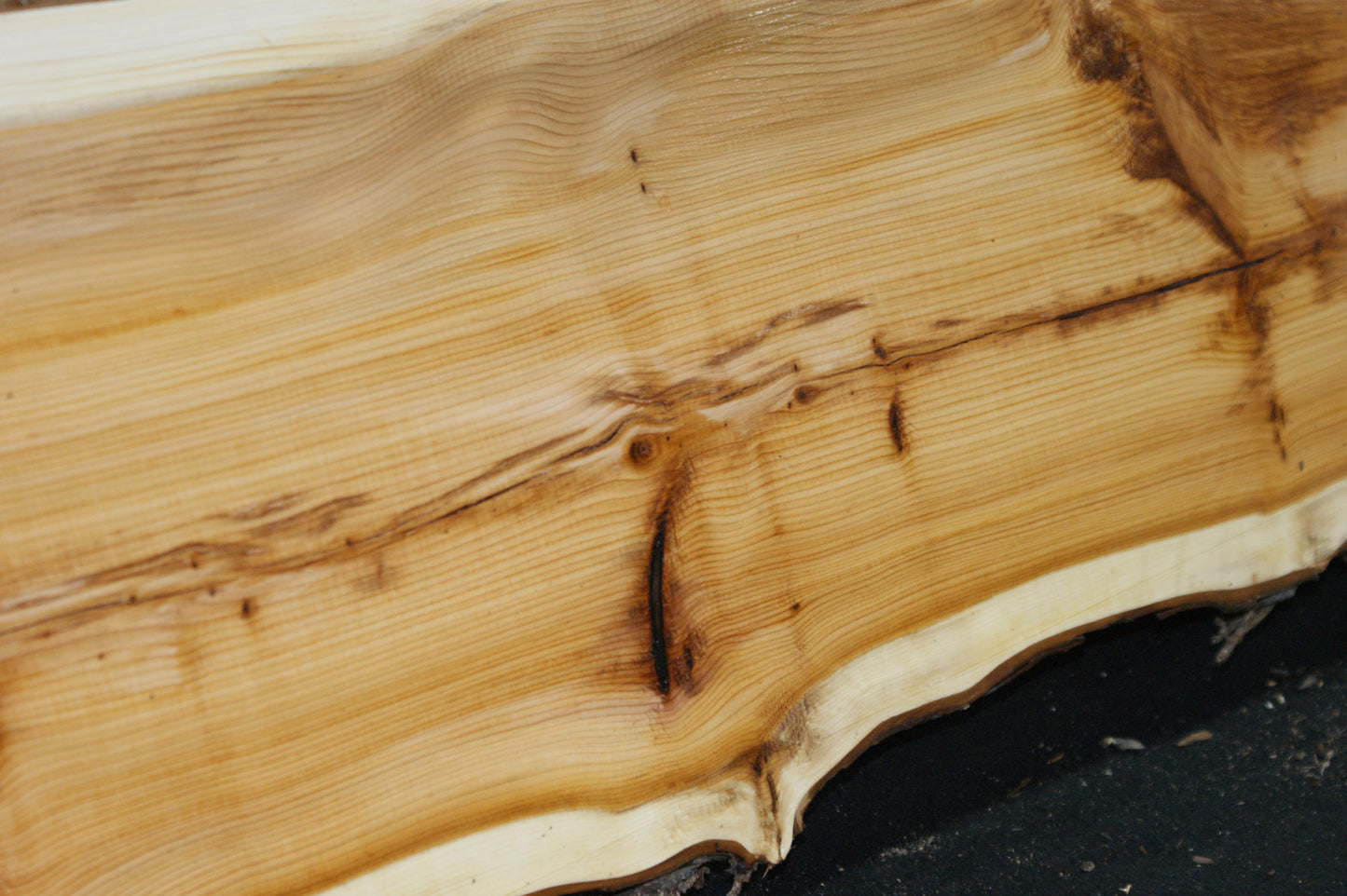 English Yew Shelf. (624)