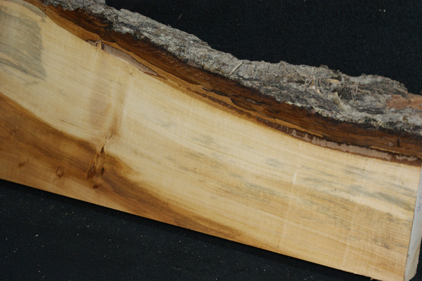 Lime wood (628)