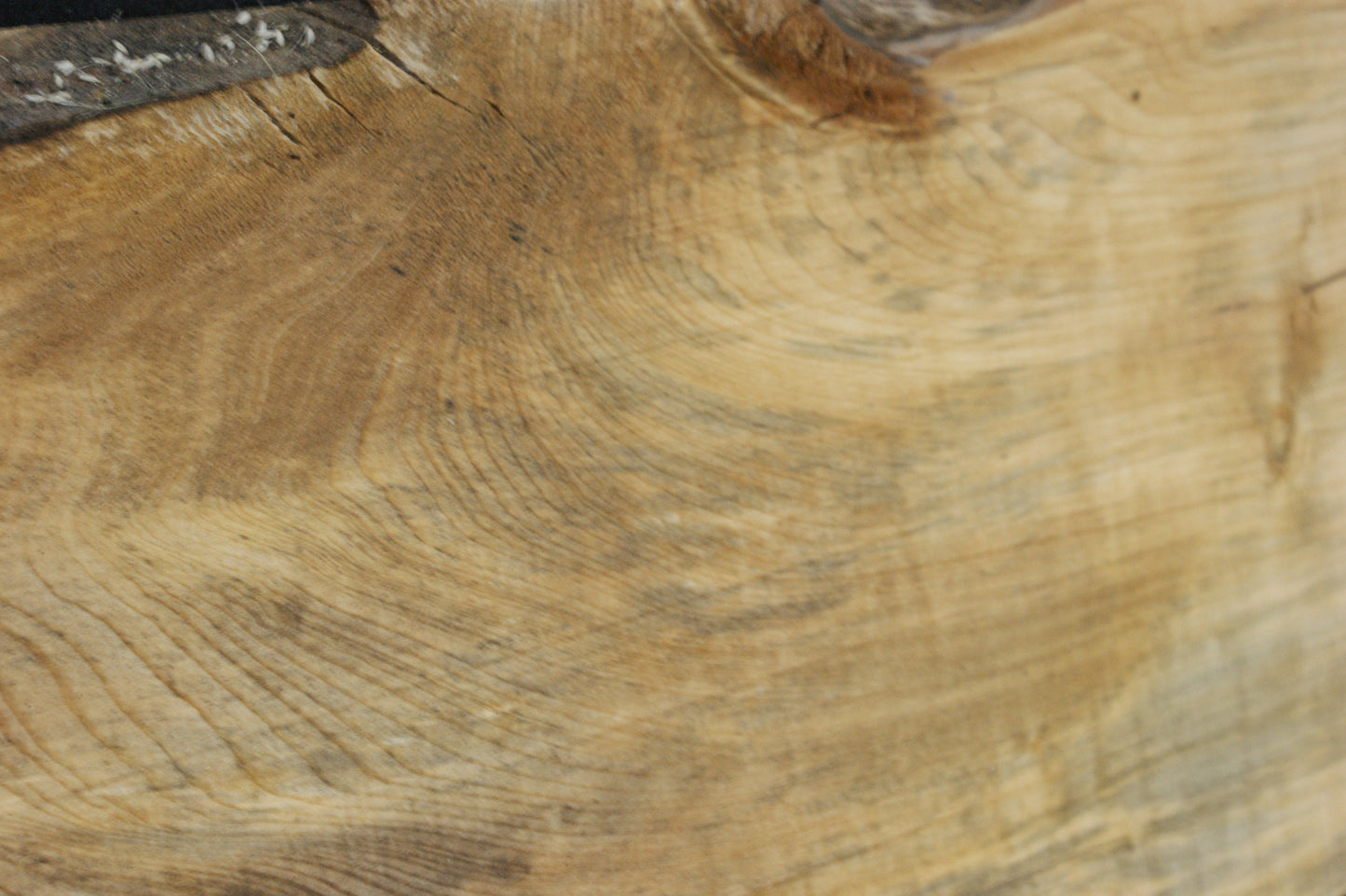 Lime wood (629)