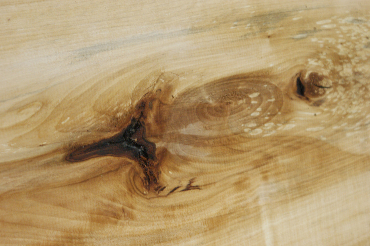 Lime wood (632)