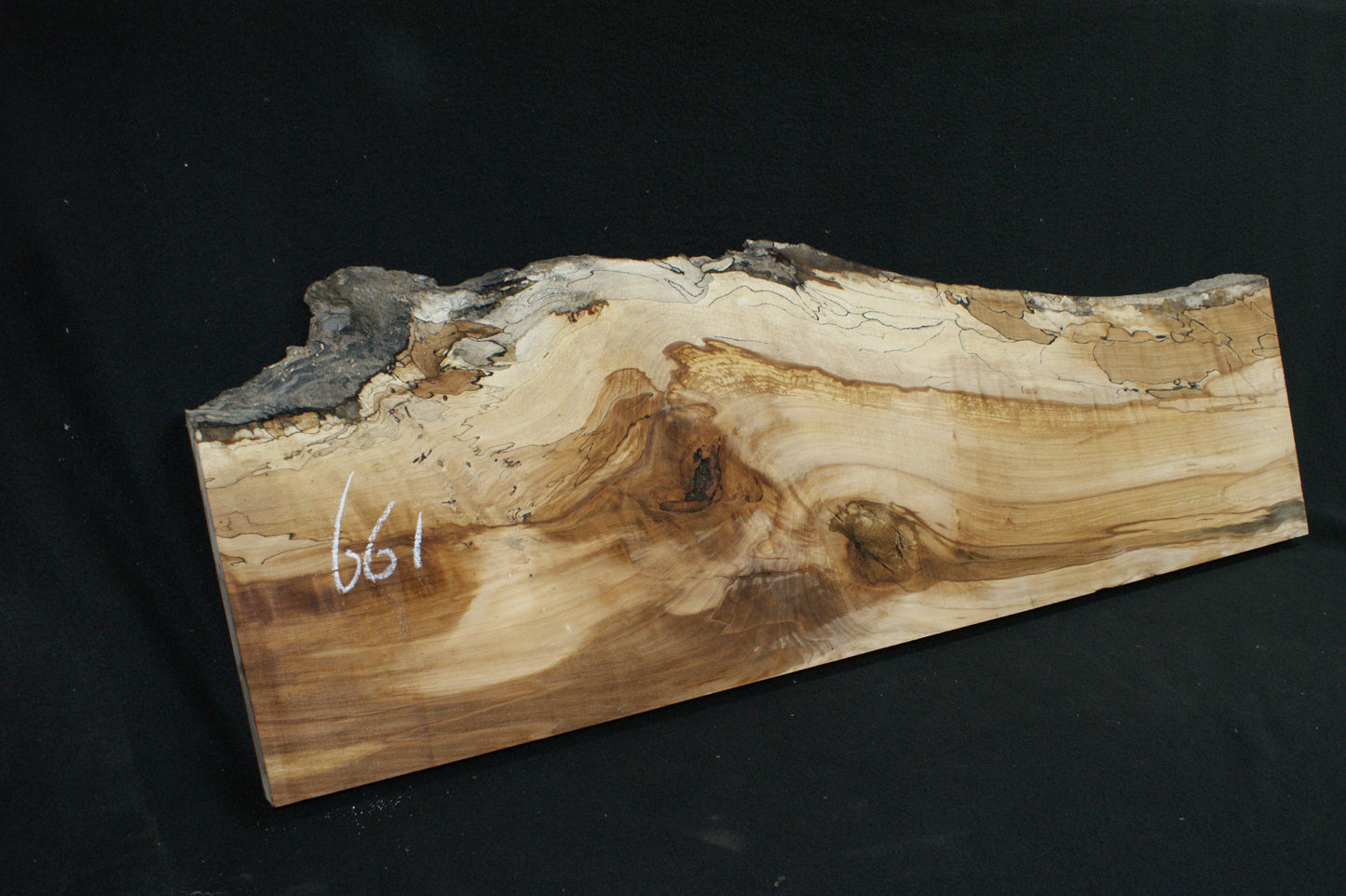 Spalted Beech (661)