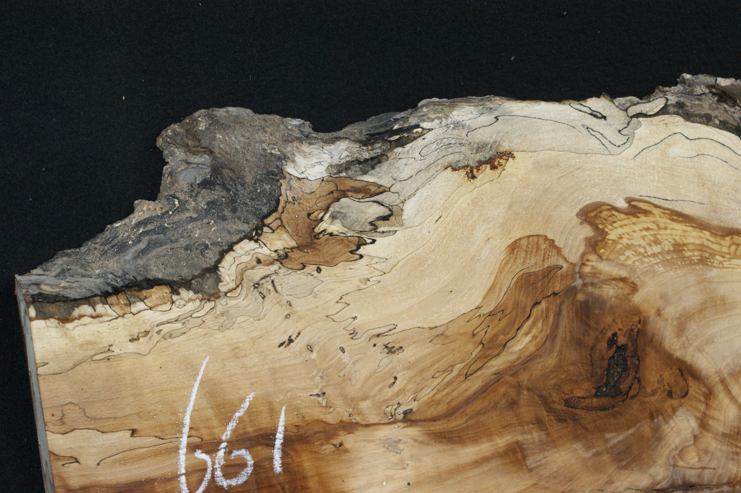 Spalted Beech (661)