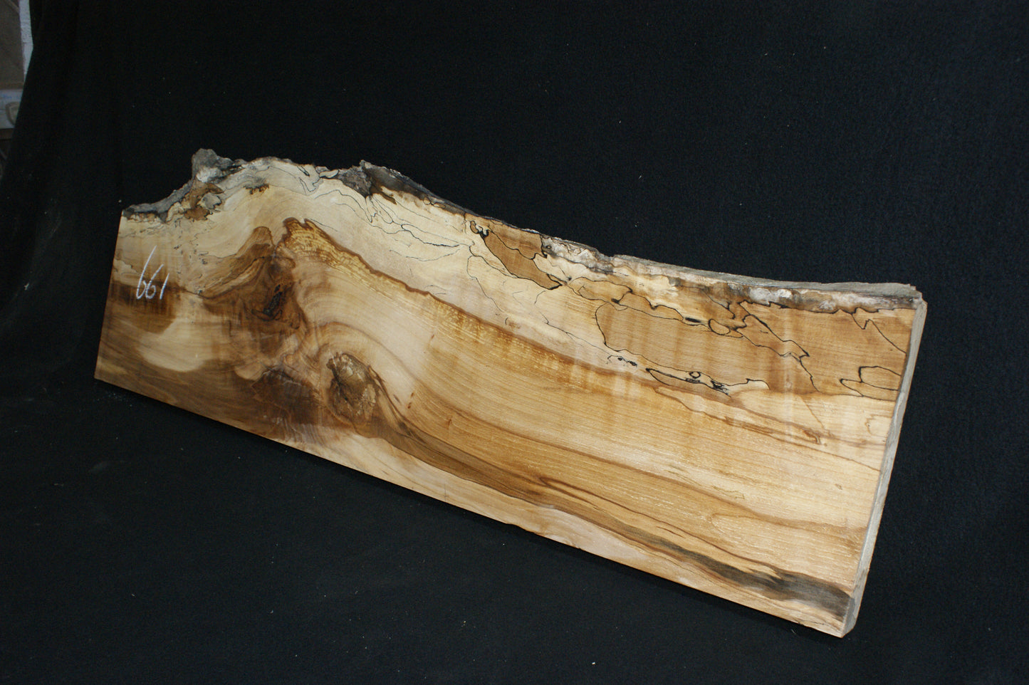 Spalted Beech (661)