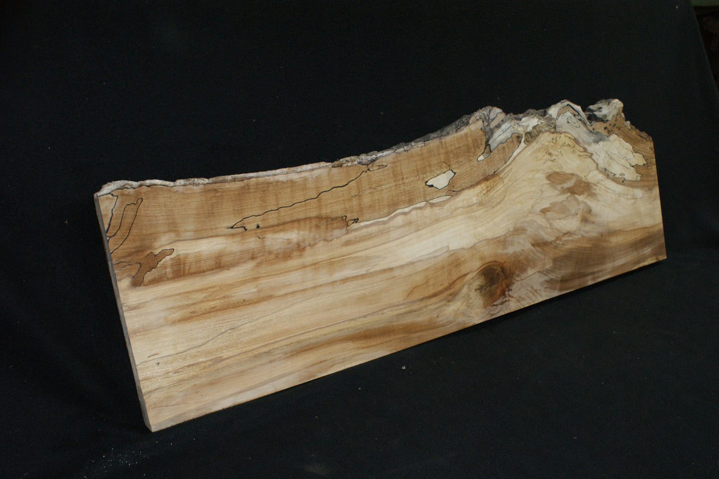 Spalted Beech (661)