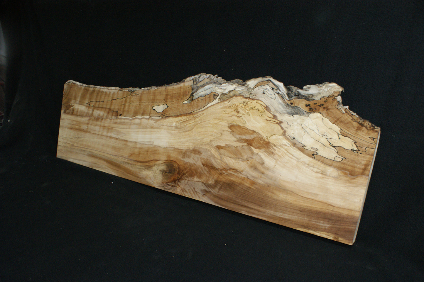 Spalted Beech (661)