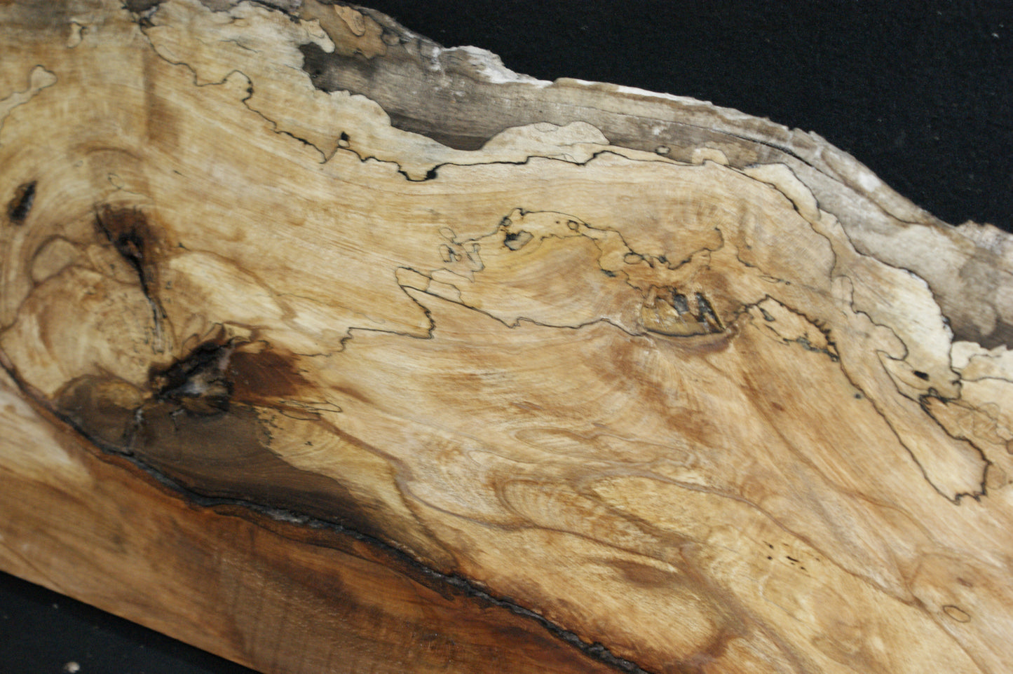 Spalted Beech (662)