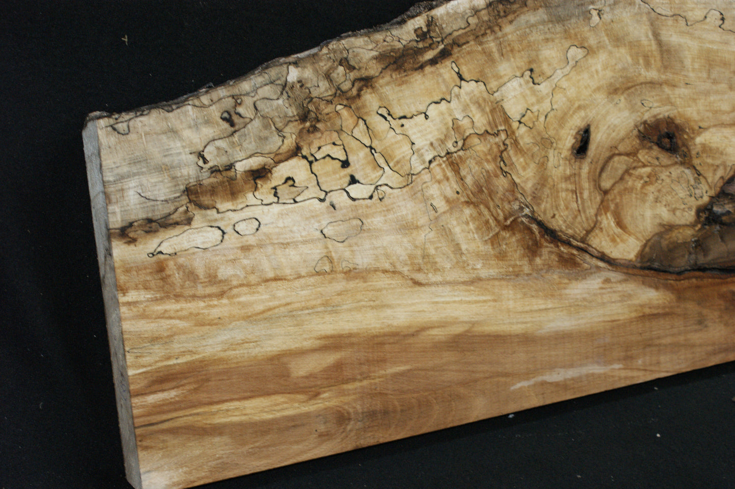 Spalted Beech (662)