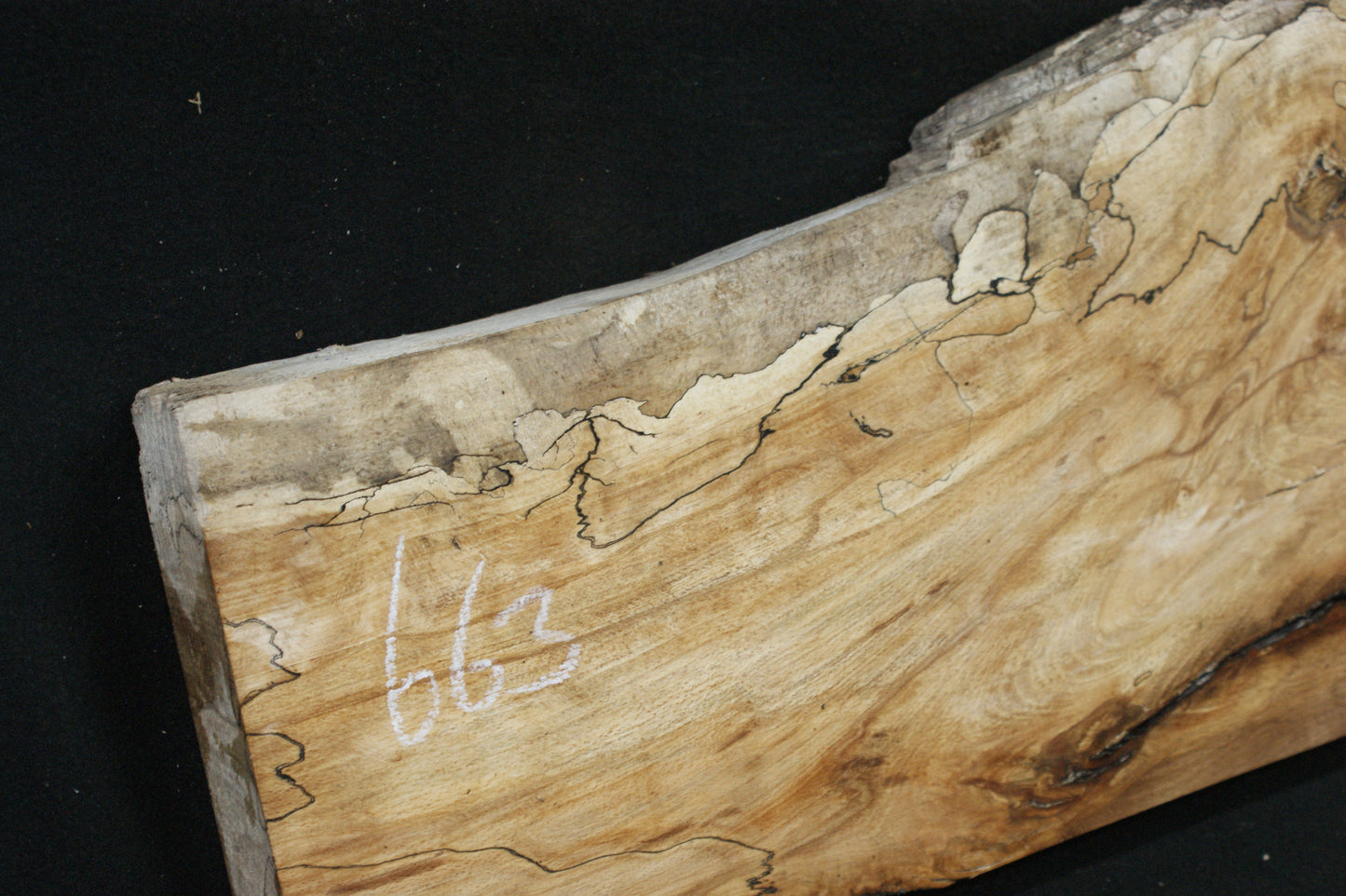 Spalted Beech (663)