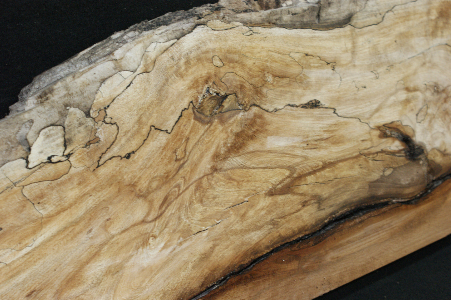 Spalted Beech (663)