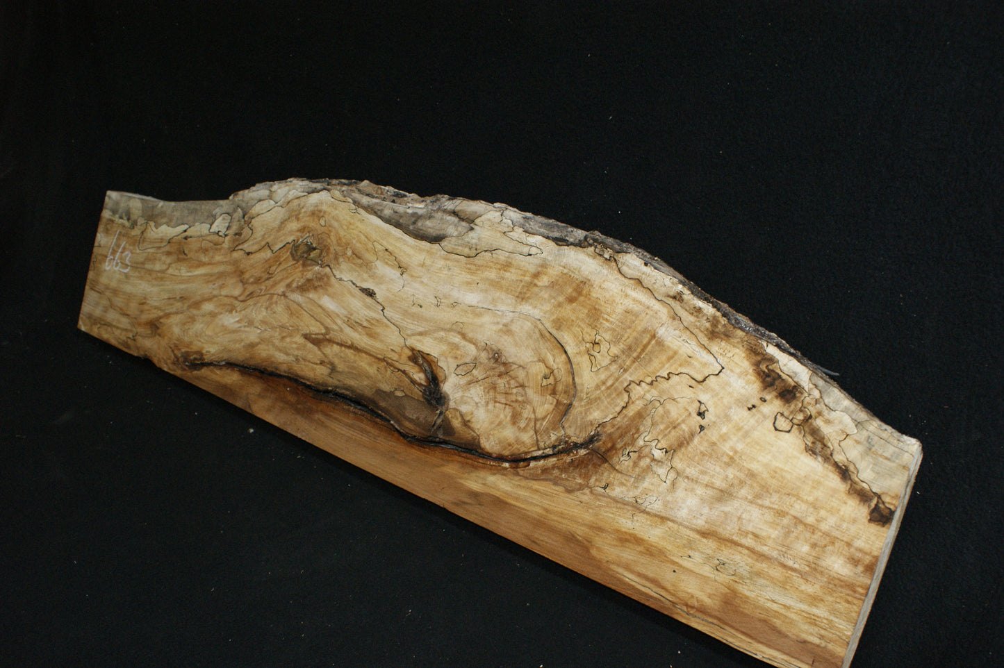 Spalted Beech (663)